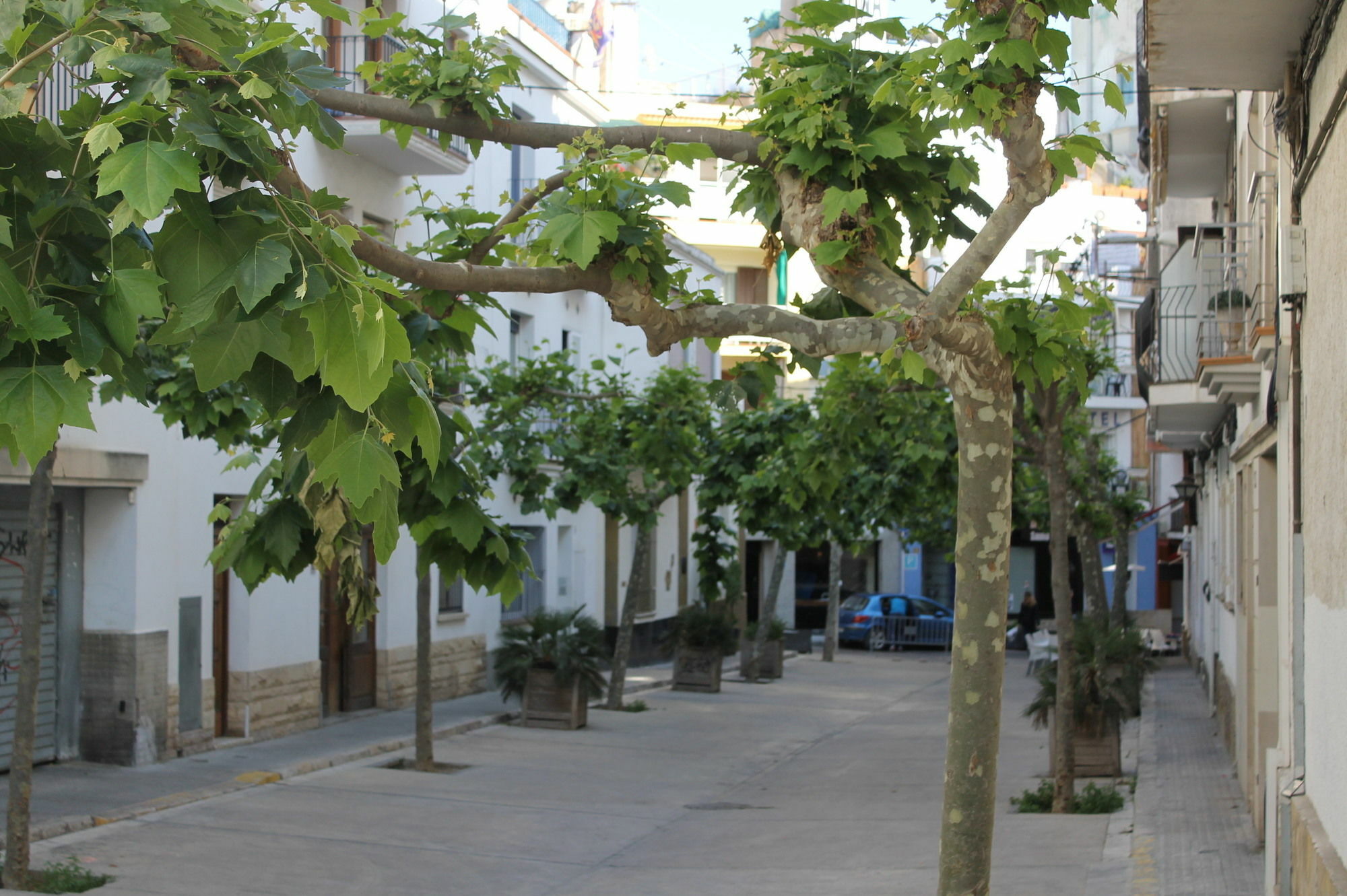 For Rent I Appartamento